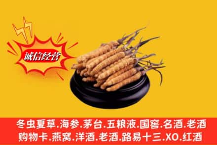 青岛市李沧名酒回收冬虫夏草.jpg